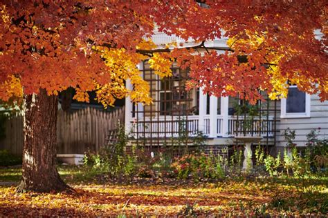 Preparing Your Yard For Fall Cedar Fence Direct