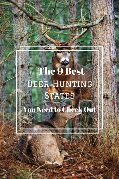 The 9 Best Deer Hunting States You Need To Check Out Looking For The