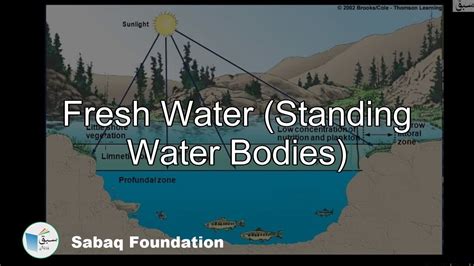 Fresh Water Standing Water Bodies Biology Lecture Sabaqpk Youtube