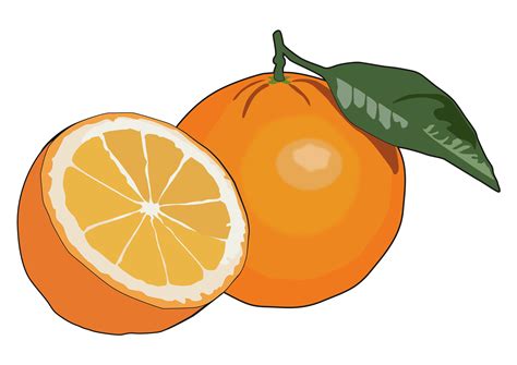 Naranja La Fruta De Dibujos Animados Imagen Png Imagen Transparente
