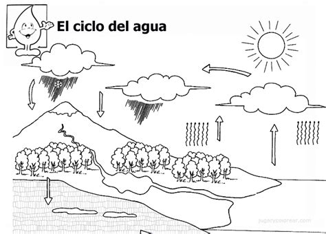 El Ciclo Del Agua Mx