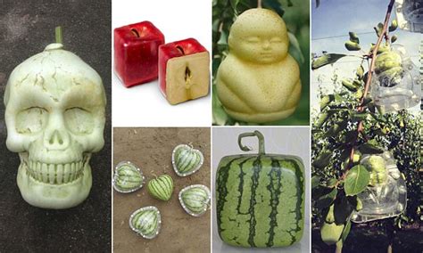Chinese Company Grows Fruit Into Bizarre Shapes Daily Mail Online