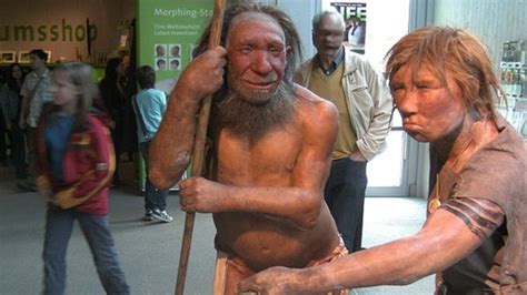 Did Sex With Neanderthals And Denisovans Shape Our Immune Systems The