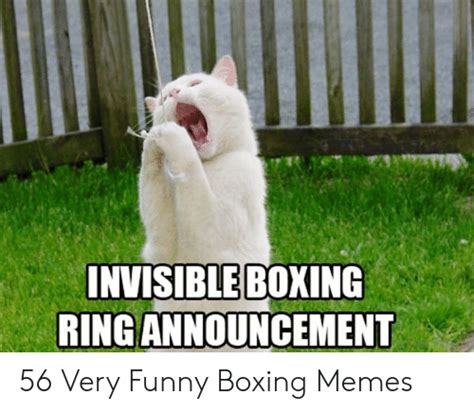 invisible boxing ring announcement 56 very funny boxing memes boxing meme on me me
