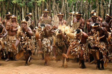 Culture Holiday Tour Trditional Dance Of Zulu Tribe In South Africa