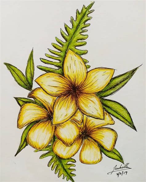 Yellow Flowers In 2021 Flower Art Drawing Pencil Drawings Of Flowers