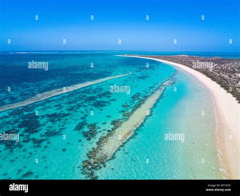 Ningaloo Reef Close To Coral Bay Aerial Image Of Reef Shark Breeding