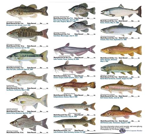 Schaubild „common Freshwater Gamefish Quizlet