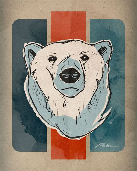 Polar Bear Illustration Rob Knapp Design