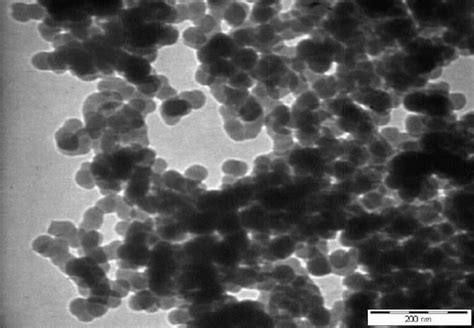 Tem Micrograph Of The Silica Nanoparticles