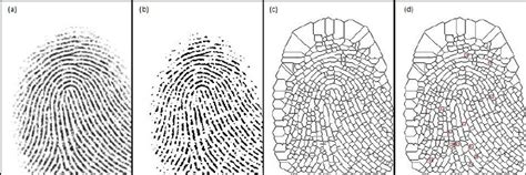 Fake Fingerprint A Original Fingerprint Image B Binary Image C