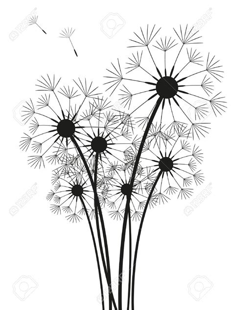 Dandelion Black And White Drawing At Explore