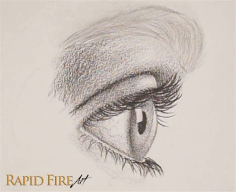 How To Draw A Realistic Eye From The Side Eyelashes And Eyebrow Rfa