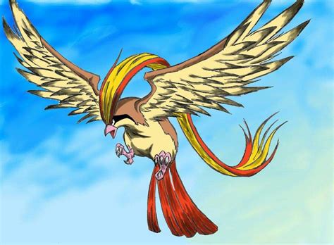 Top 5 Flying Type Pokémon Pokémon Amino