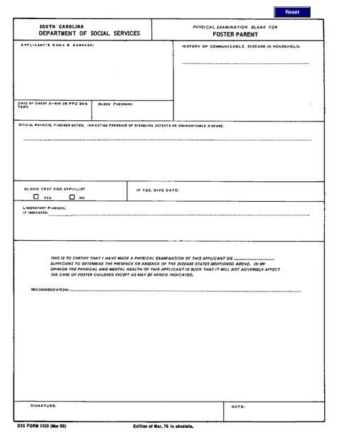 Dss Form 1510 Fill Out Sign Online And Download Fillable Pdf South