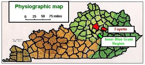 Geology Of Fayette County Kentucky Geological Survey Site