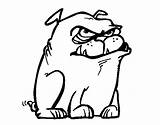 Grumpy Dog Coloring Coloringcrew Colorear Animals sketch template