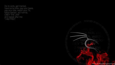 Kali Linux Wallpapers Top Free Kali Linux Backgrounds Wallpaperaccess