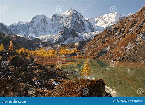 Altai Mountains Russia Siberia Stock Image Image Of Evening