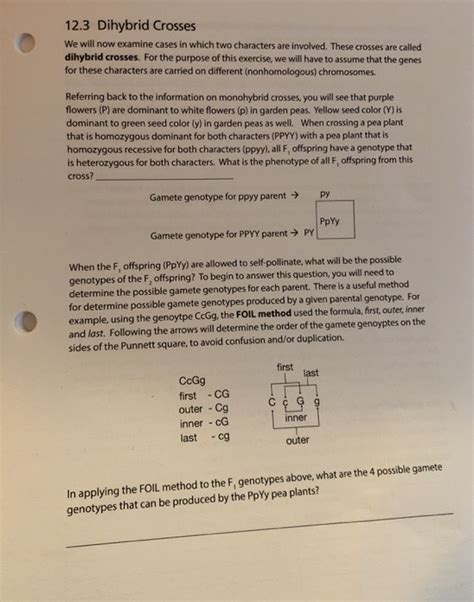 A dihybrid cross determines the genotypic and phenotypic combinations of offspring for two particular genes that are the inheritance of dihybrid traits can be calculated according to the following steps Dihybrid Crosses Answers / Dihybrid Crosses Digital Inb ...