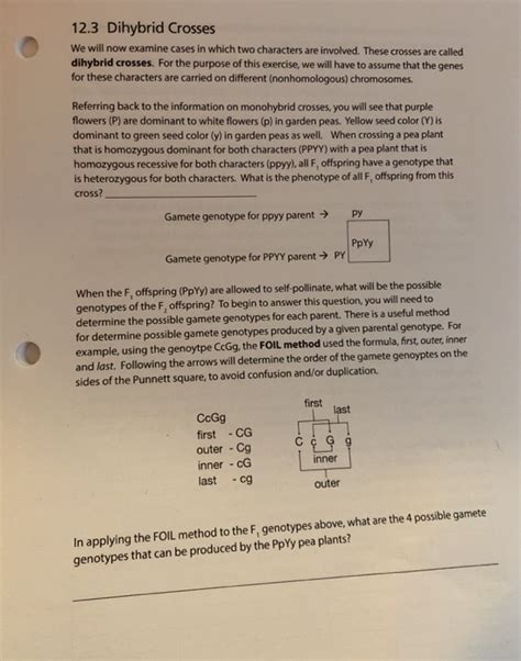 Given the principles revealed in a monohybrid cross, mendel hypothesized that the result of two characters segregating simultaneously (a dihybrid cross) . Dihybrid Crosses Answers / Dihybrid Crosses Digital Inb ...