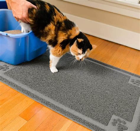 Best Cat Litter Mat 9 Clever Designs March 2024
