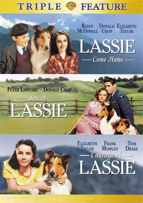 lassie come home son of lassie courage of lassie [2 discs] [dvd] best buy