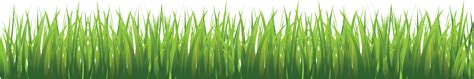 Grass Png Seamless