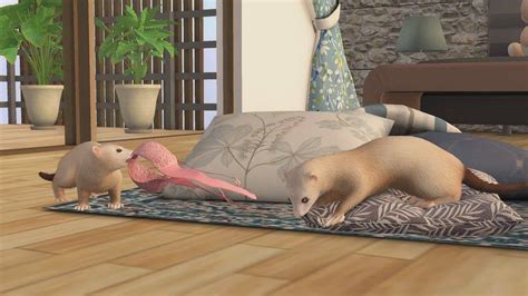 Video Frisky Ferrets By Mutresse Sims 4 Sims Cc Sims