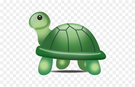 Turtles In Turtle Cartoon Turtle Clipart Png Stunning Free