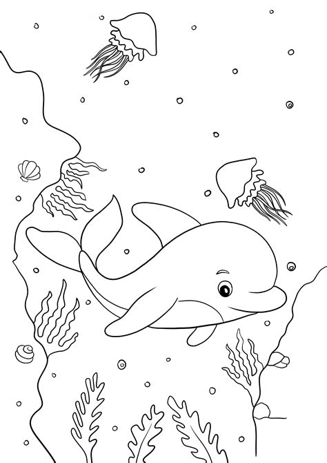 Cute Dolphin To Color And Free To Print For Kids