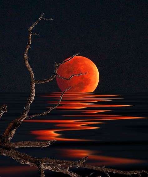 Reflection Photography Blood Moon Reflection Photography By Stephen