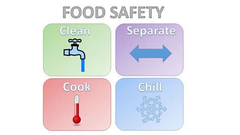 Food Safety And Sanitation Food And Nutrition Services