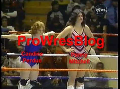 Prowresblog Wwf Primetime Wrestling 11251986 Review