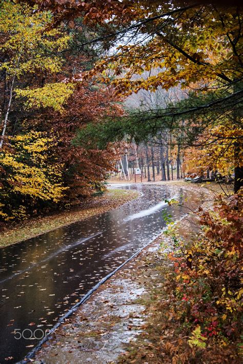 Rainy Road On A Autumn Day Rainy Day Photography Autumn Rain Rainy
