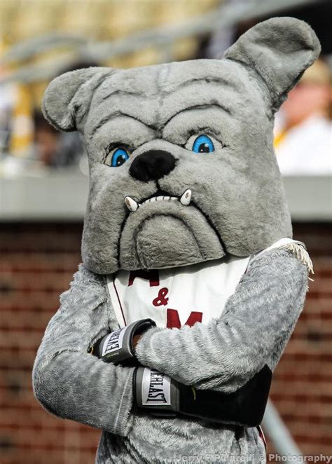 Who Is The States Best College Football Mascot Check Out Our 12 Favorites