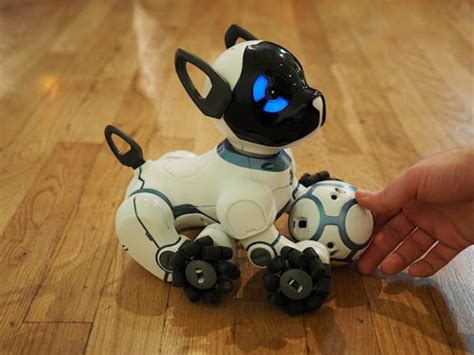 Meet Chip The Cute Robot Pet Business Insider India