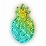 Neon Sorry Abortion Pineapple Memorial Icon Birth