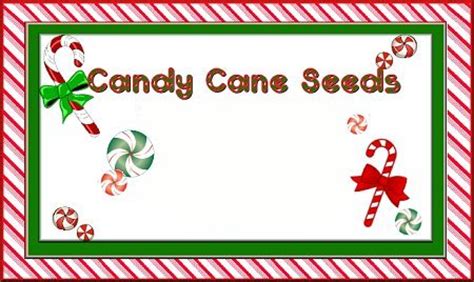 Can't get enough of candy canes? C/candy Cane Seed Poem | Template Printable