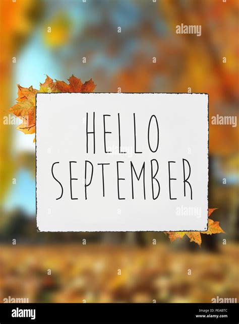 Hello September Autumn Text On White Plate Board Banner Fall Leaves