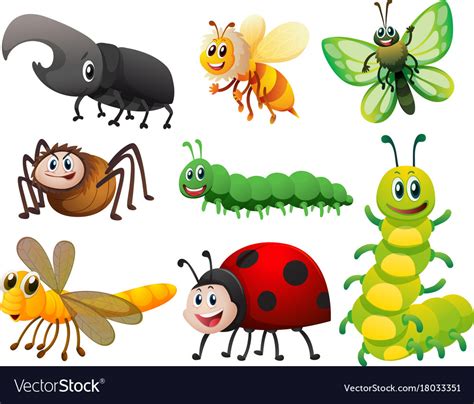 Different Kinds Of Small Insects Royalty Free Vector Image