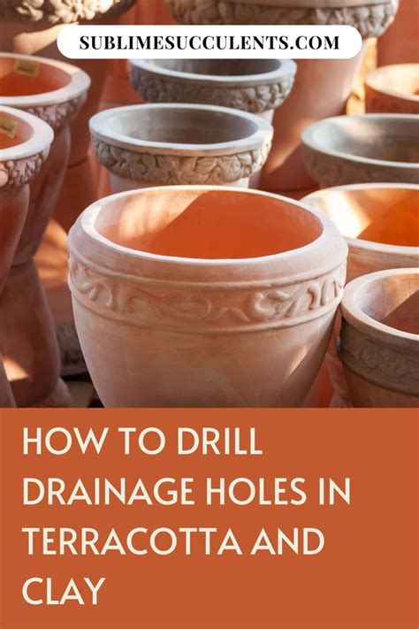 How To Drill Drainage Holes In Terracotta And Clay In 2020 Succulent