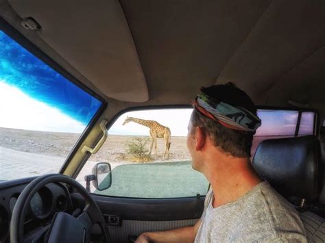 The Amazing Etosha National Park In Namibia • Ultimate Safari Guide