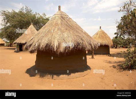 Traditional Mud Huts In Kawaza Village South Luangwa Valley Zambia