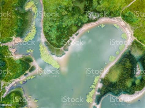 Aerial View Of Lake In Summer Stock Photo Download Image Now Above