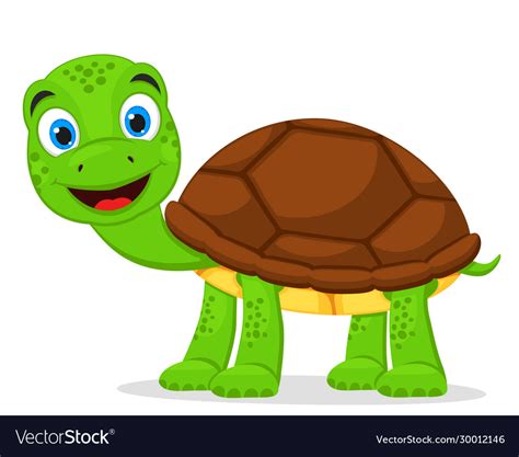 Turtle Stands On Four Legs And Smiles On A White Vector Image