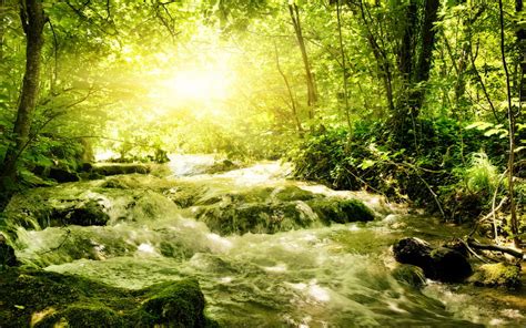 2k Free Download Lovely Stream Of Light Stream Nature Water