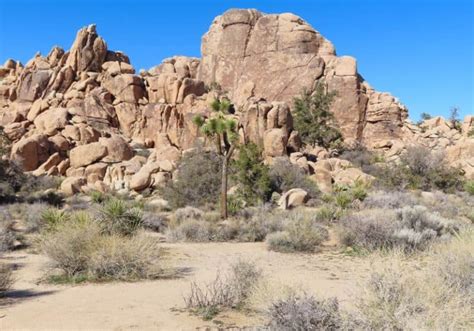 Hike The Hidden Valley Trail In Joshua Tree National Park