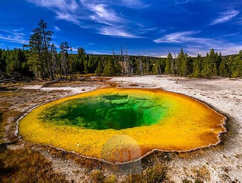 Bildagentur Mauritius Images Us Wyoming Yellowstone National Park