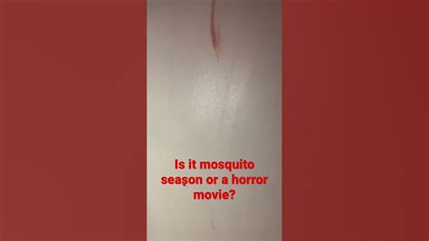 Mosquito Season Is Horrifying Summer Youtube